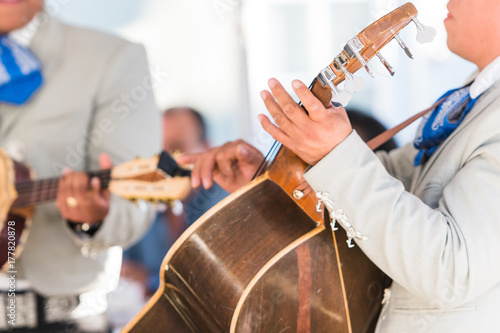 Mariachi Musician 