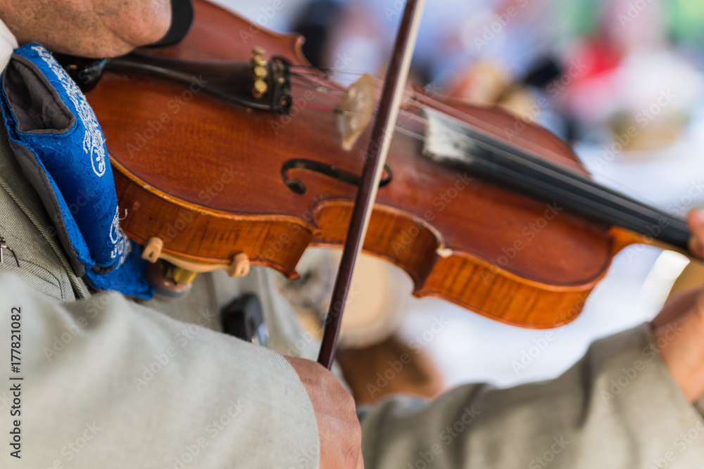 Fototapeta premium Mariachi Violin Player