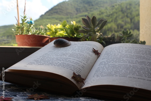libro