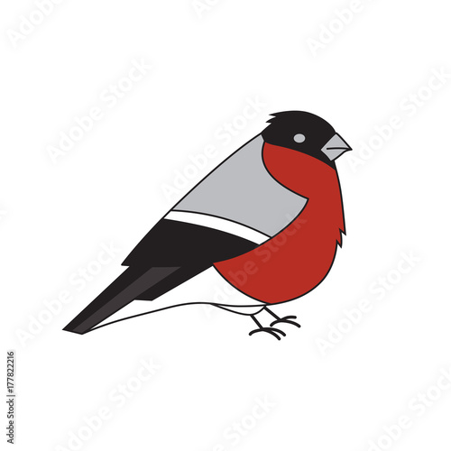 Cartoon bullfinch isolated on white.