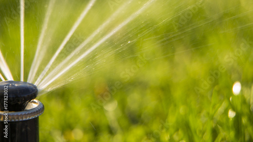 A rotating sprinkler spraying a water into the backyard