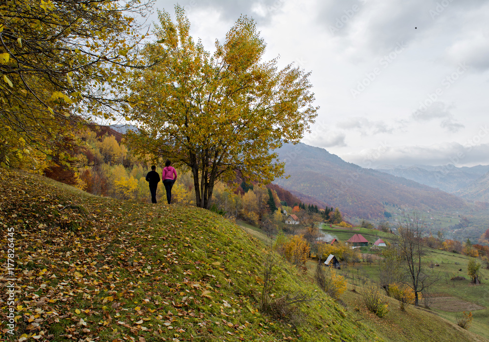 Fototapeta premium Kids on hill next to beautiful lonely tree