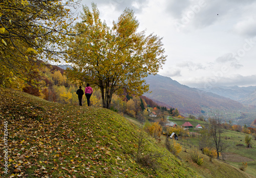 Kids on hill next to beautiful lonely tree
