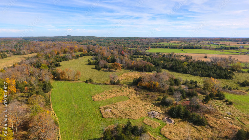 Aerial View of Fields and Forests in Autumn