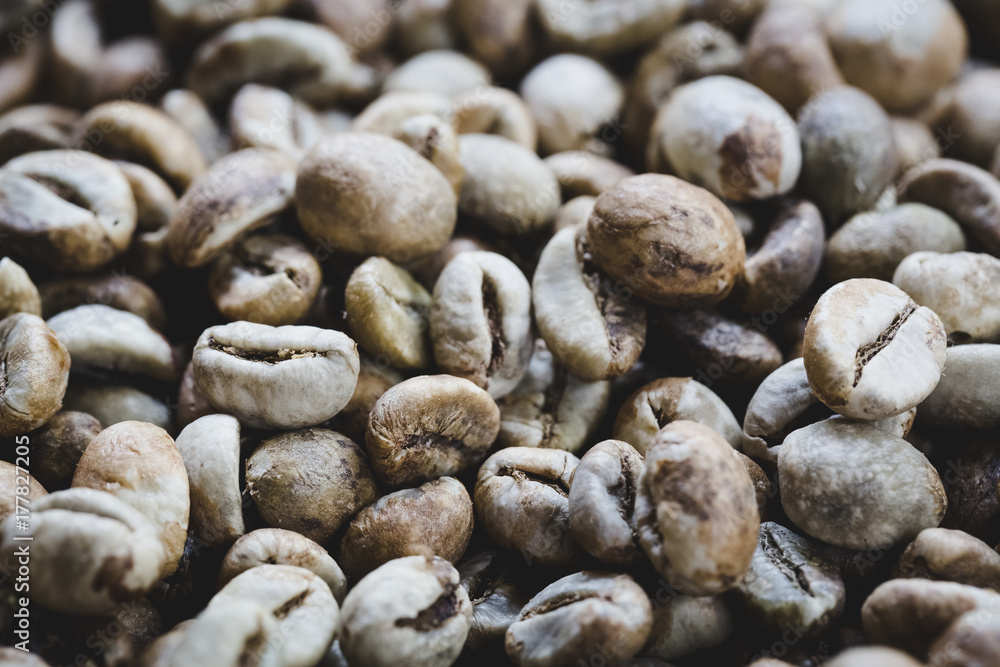 Raw Coffee bean Raw Coffee bean
