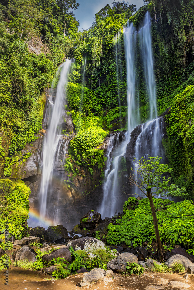 Obraz premium Sekumpul Waterfall in summer