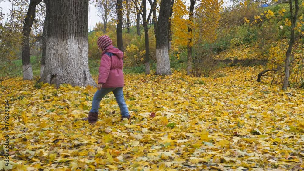 The time of year, Autumn. Children playing in the nature The time of year, Autumn. Children playing in the nature