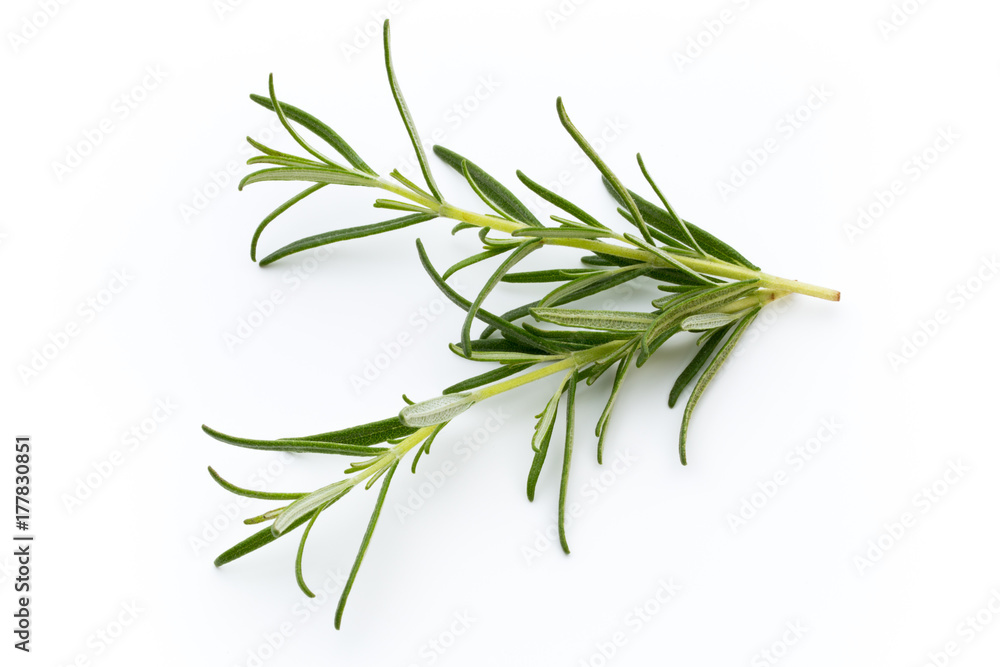 Fototapeta premium Rosemary isolated on white background, Top view.