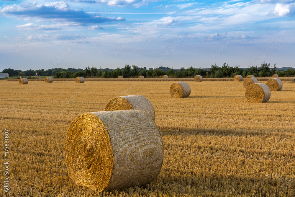 Wolken durchsetzter blauer Himmel über einem riesigen Feld mit goldgelben Strohballen