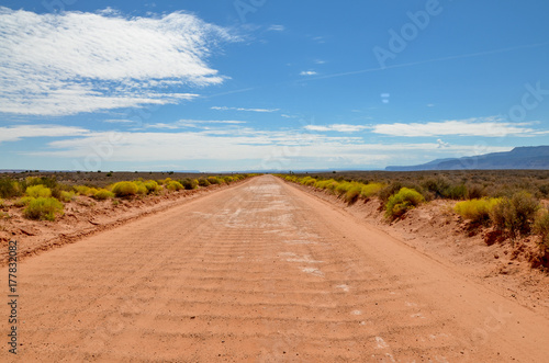 straight and empty unpaved sandy road in the desert  Hole in the Rock Road  Escalante  Garfield County  Utah  USA