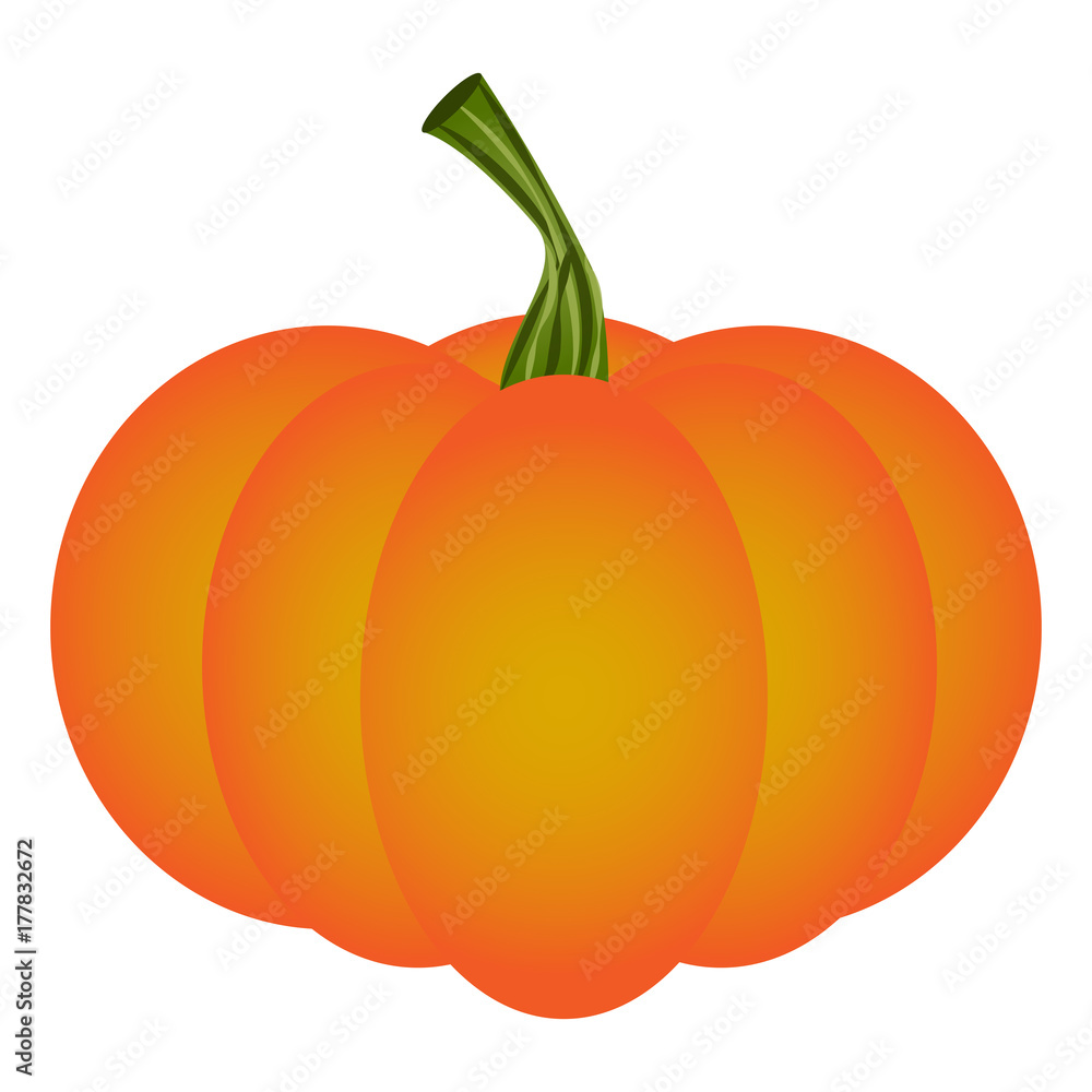 Pumpkin isolated on white background, Vector ilustration Pumpkin isolated on white background, Vector ilustration