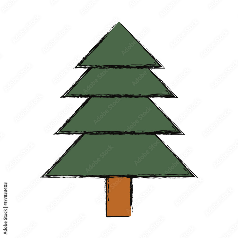 Fototapeta premium pine tree icon