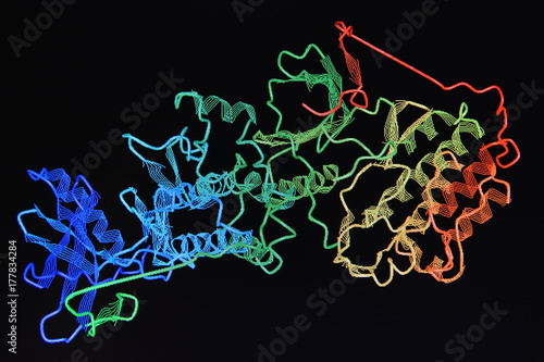 Structure of the protein molecule.