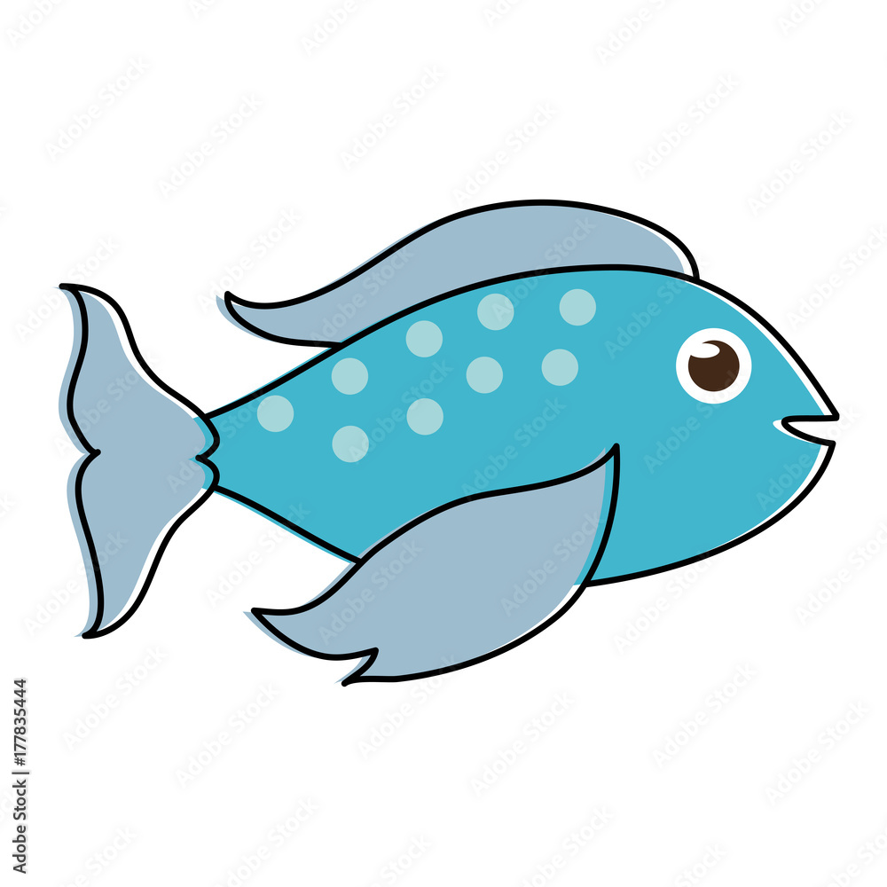 Obraz premium blue fish sideview icon image vector illustration design 