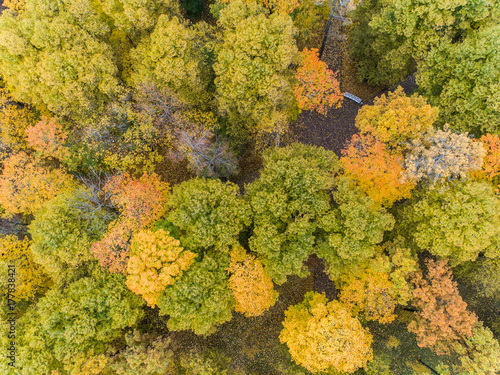 Aerial view of the autumn Catherine Park