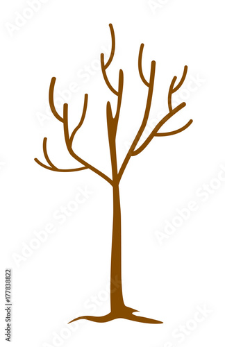 Bare tree without leaves