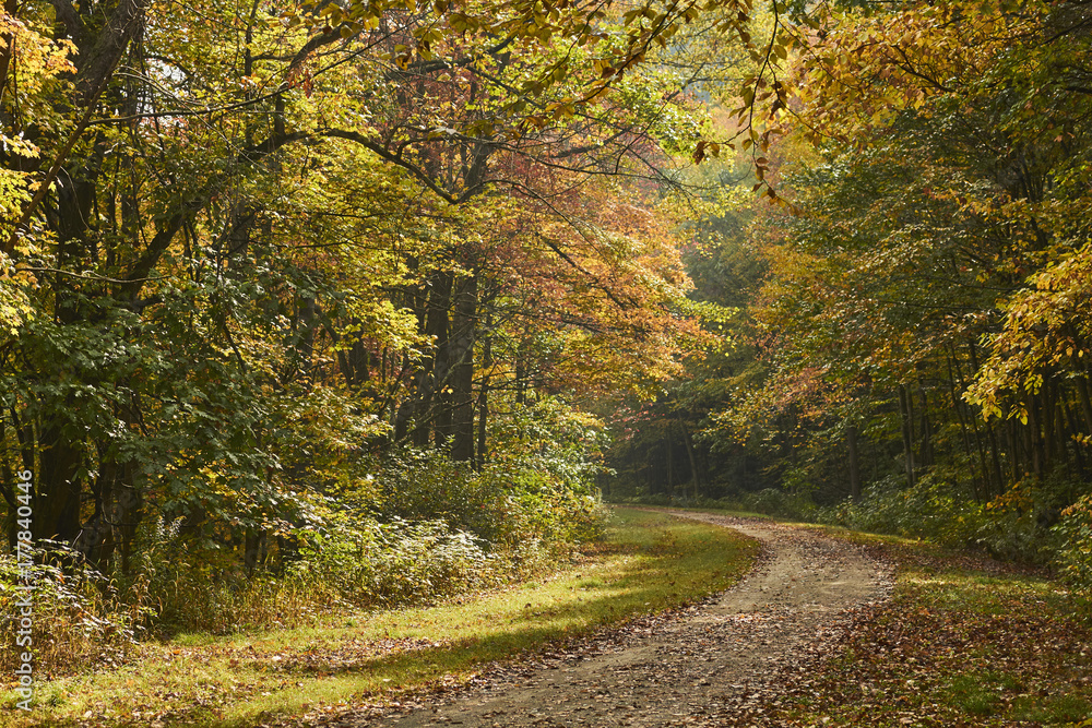The Great Allegheny Passage trail at Rockwood, Pennsylvania in early fall