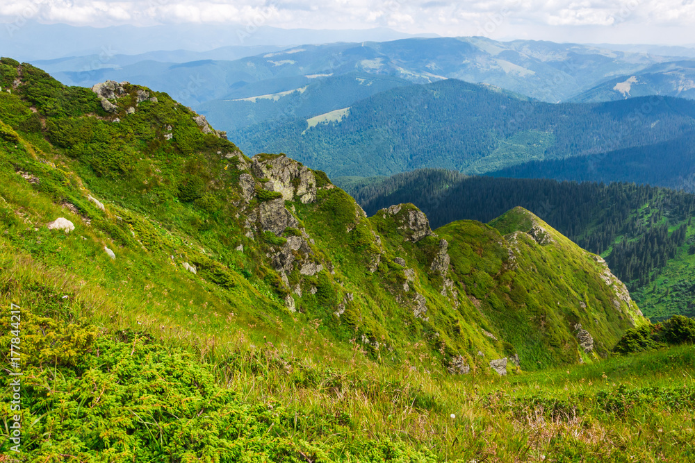 Fototapeta premium green mountains of Ukraine, Carpathians