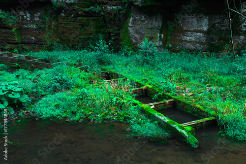 Wallpaper Mural Bohemian (Czech, Saxon) Switzerland National Park Torontodigital.ca