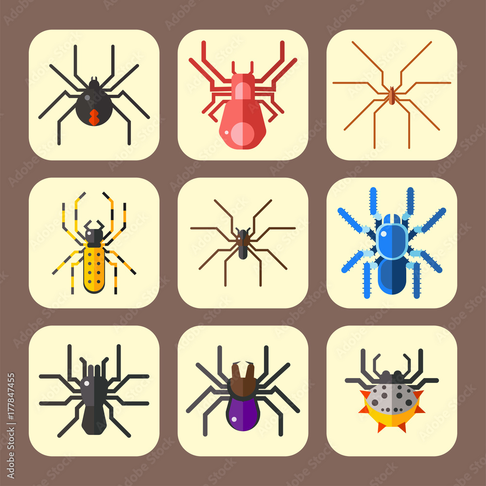 Spider web silhouette arachnid fear graphic flat scary animal design nature insect danger horror halloween vector icon. Spider web silhouette arachnid fear graphic flat scary animal design nature insect danger horror halloween vector icon.