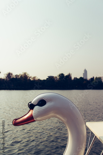 Detail of a boat, shaped like a swan on the lake photo