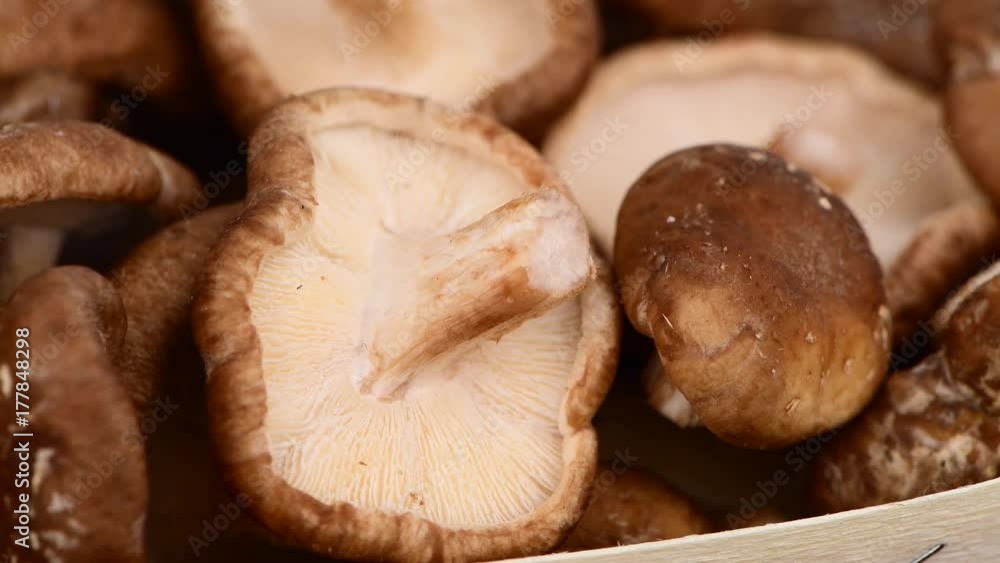 Shiitake mushrooms as seamless loopable rotating 4K UHD footage Shiitake mushrooms as seamless loopable rotating 4K UHD footage