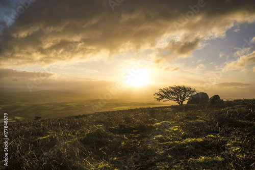 sunrise with beautiful cloudy sky over caradon hill on bodmin moor with lonely tree silhouette , cornwall, uk, photo