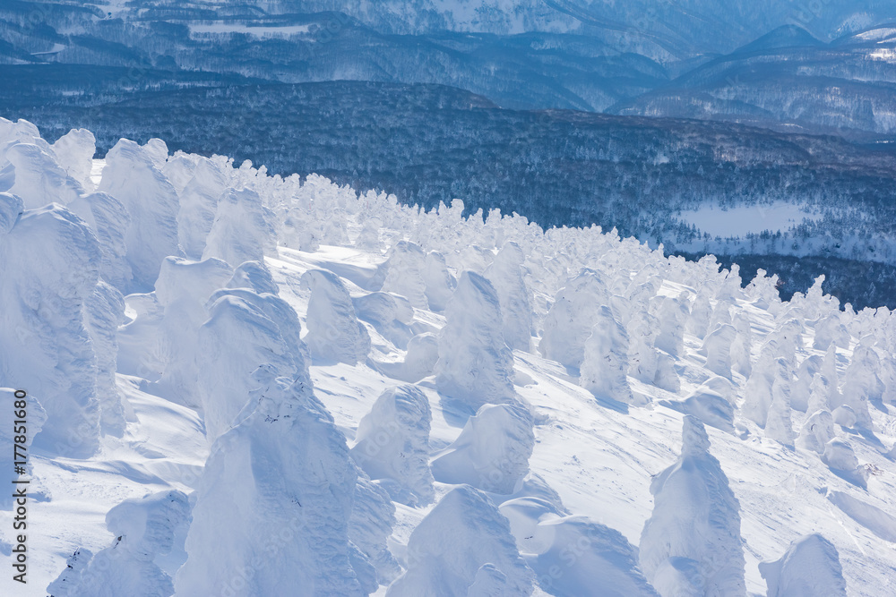 八甲田山の樹氷