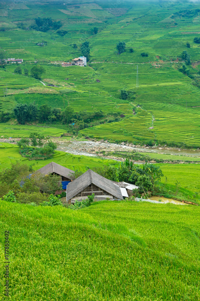 Countryside landscape with rural houses among rice terraces