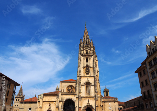 View of the Cathedral of Oviedo  Asturias  Spain