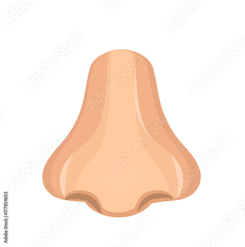 Nose icon is a flat style. The sense of smelling, medicine concept. Smell. Vector illustration