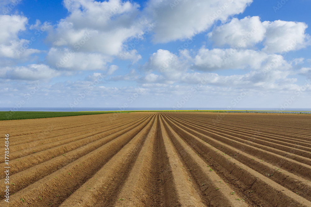 Plowed agricultural fields prepared for planting crops in Normandy, France. Countryside landscape with cloudy sky, farmlands in spring. Environment friendly farming and industrial agriculture concept.