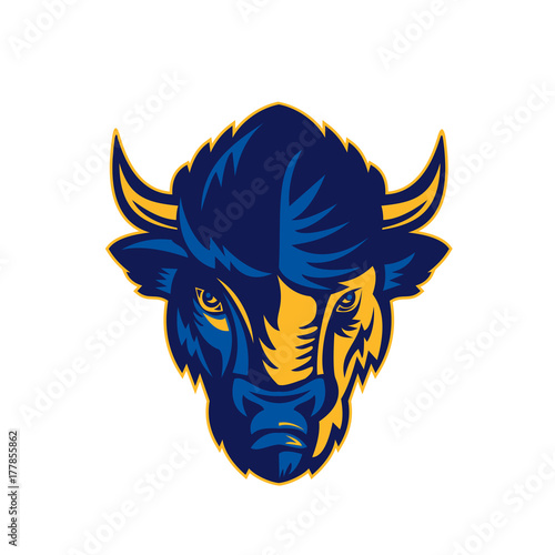 American Bison Head Retro