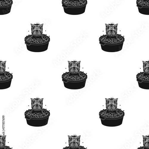 Bathing pet puppy in a bowl. dog,Pet,dog care single icon in black style vector symbol stock illustration web.