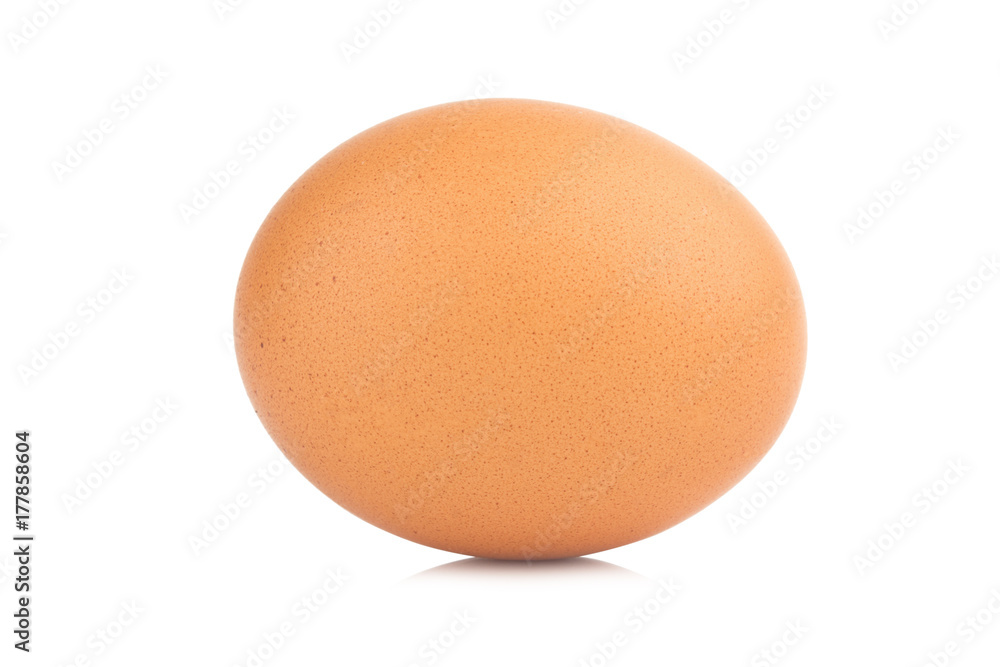 Egg. Isolated on white background Egg. Isolated on white background