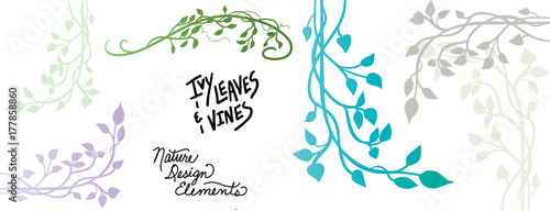 Valokuva vines and ivy vector designs with branches and leaves, climbing vine in a decora