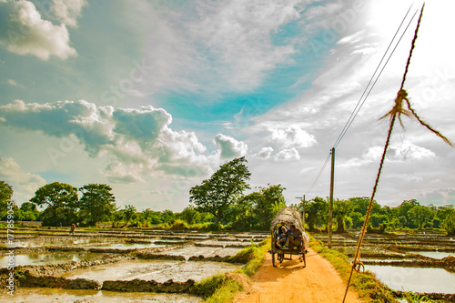Bull Cart Ride Sri Lanka