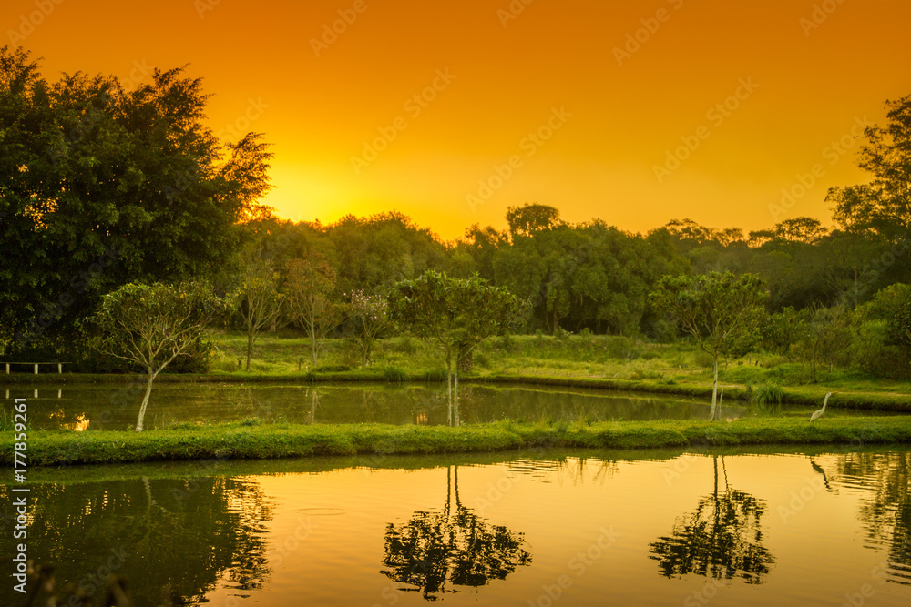 Fototapeta premium Por do sol no lago