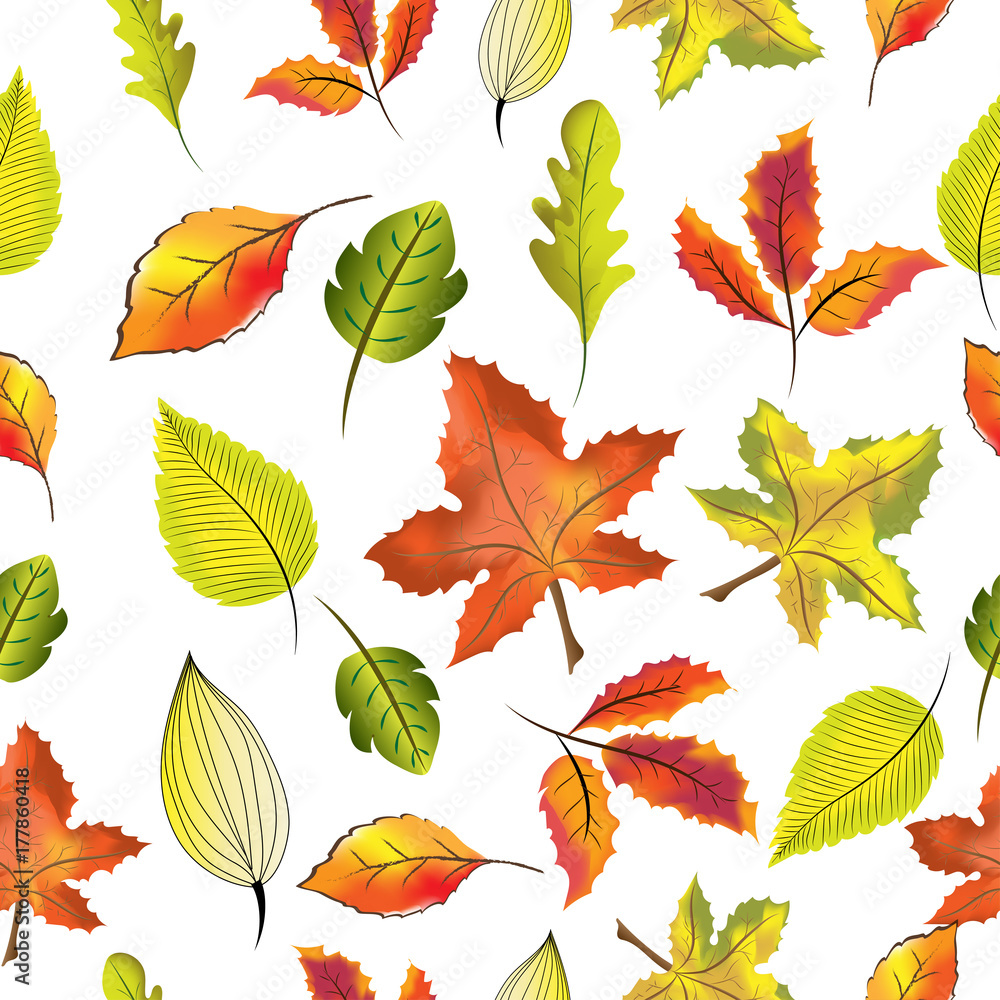 Digital seamless pattern of illustration and vector of traditional thanksgiving and autumn or fall forest leaves, red, orange, green maple leaves