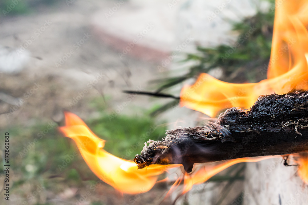 Obraz premium Wood Fire Close-Up wood smoke fire close-up
