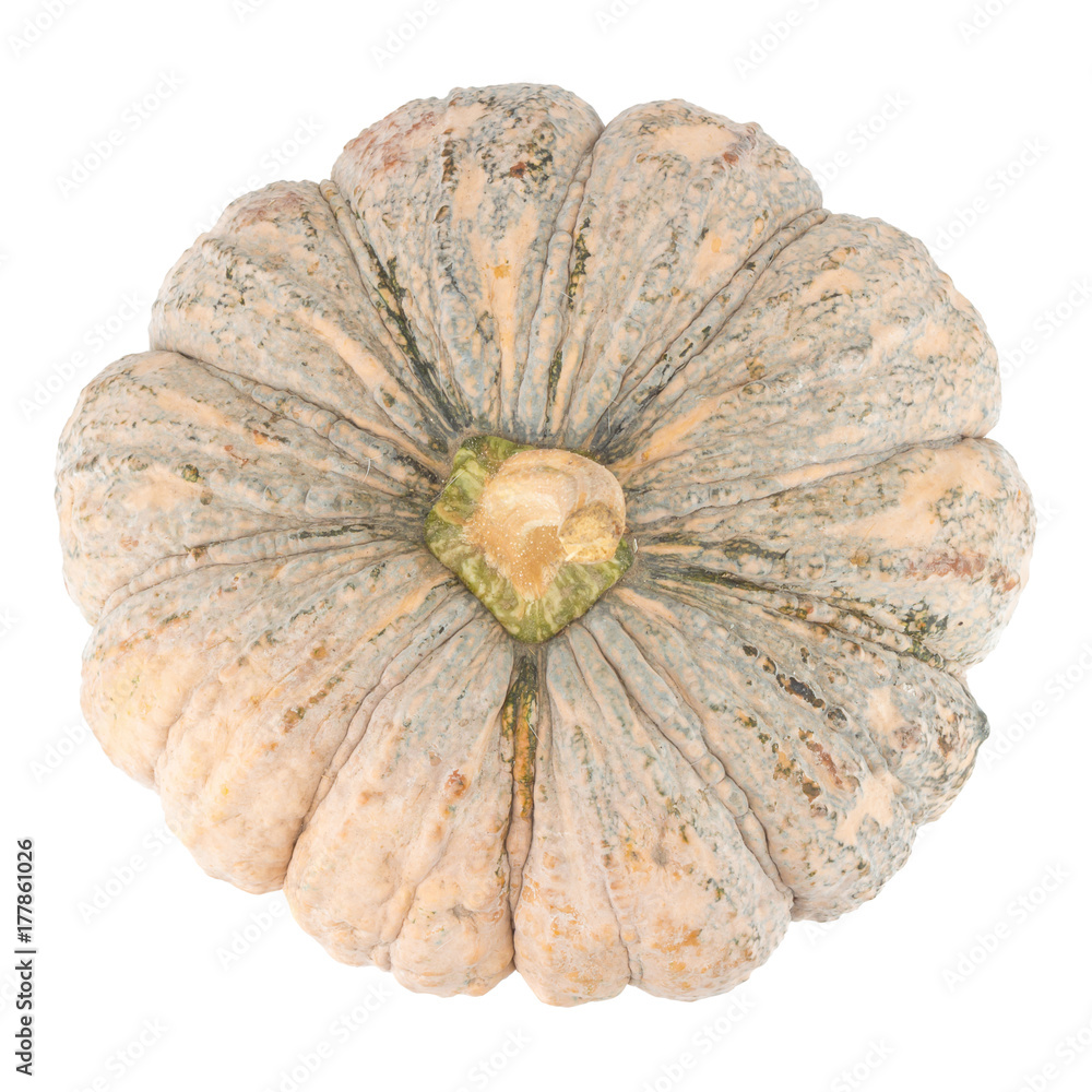 pumpkin isolated on white background pumpkin isolated on white background