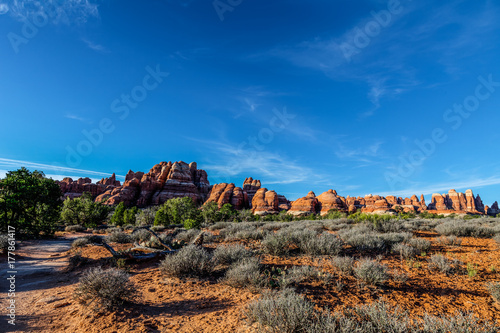 This image was captured on the 11 mile Chesler Park Loop Trail in the Needles District of the Canyonlands National Park in Utah.