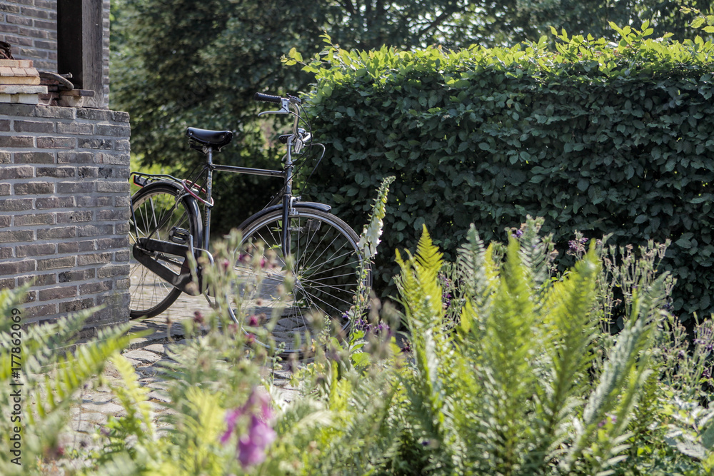 Obraz premium Belgian Bike