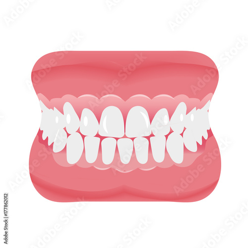Jaw with teeth icon flat style. Open mouth, dentures. Dentistry, medicine concept. Isolated on white background. Vector illustration