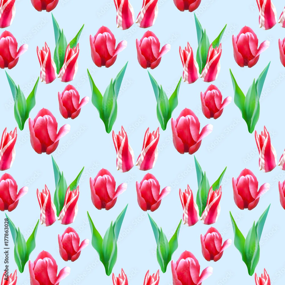 Tulip. Seamless pattern texture of flowers. Floral background, photo collage