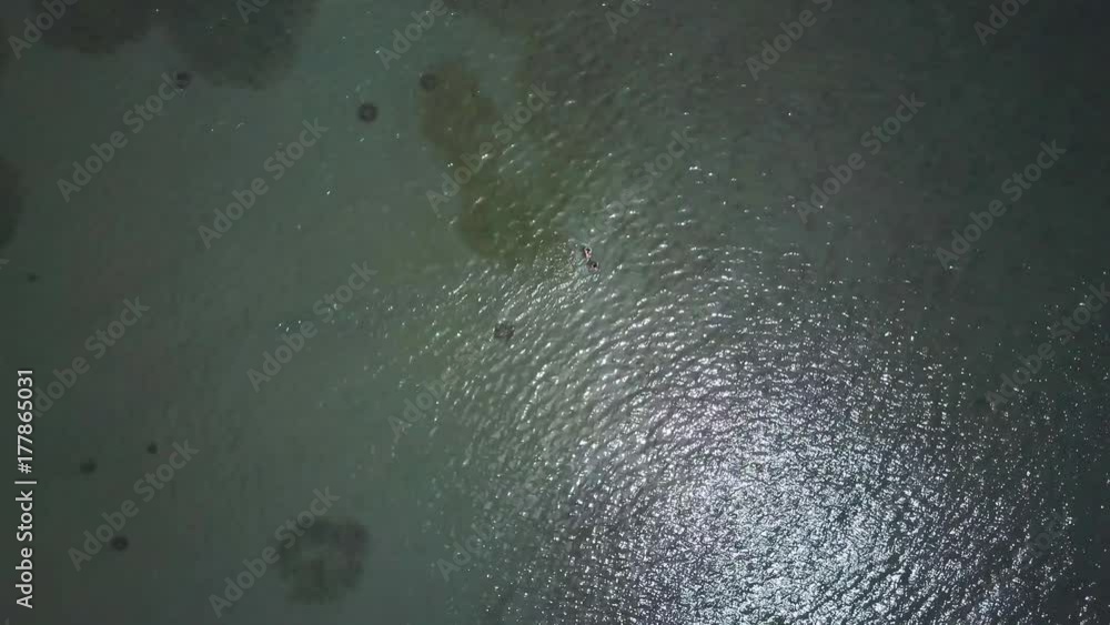 Aerial camera ascending and looking straight down onto two men or boys running and swimming in the warm sea in paradise. Continuation of prior clip. Aerial camera ascending and looking straight down onto two men or boys running and swimming in the warm sea in paradise. Continuation of prior clip.