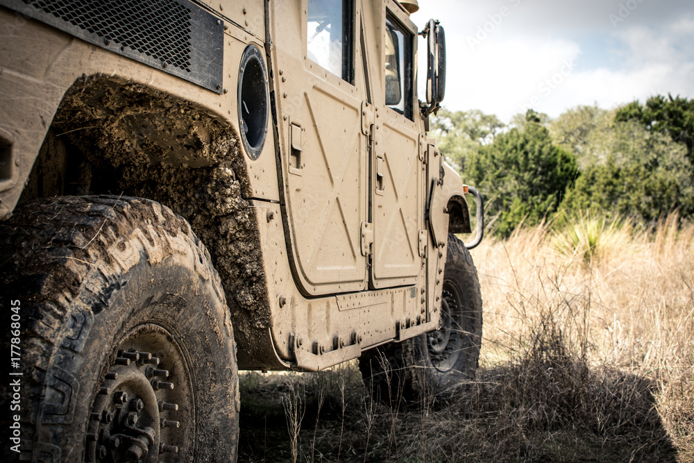 Fototapeta premium Trail Trekker