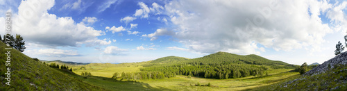 Panoramic mountain summer landscape. Trees near meadow and forest on hillside in sunset light. Diving into the atmosphere.