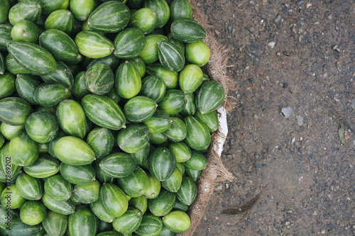 pointed gourd on sale at a street market in Asia. photo