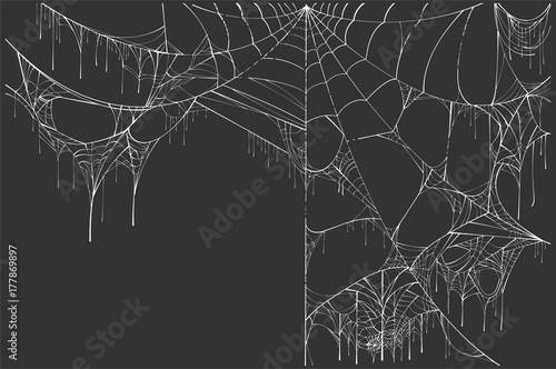 Large white torn spider web on black background. Halloween Scenery